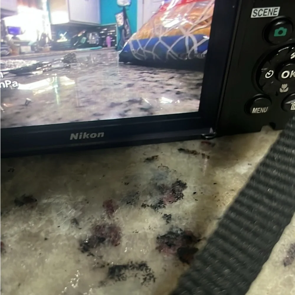 Nikon Coolpix 4K Compact Camera in Black - Picture 5 of 5